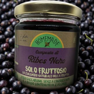 Composta di Ribes nero (con solo fruttosio)